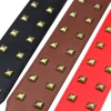 Rivet bronze square nail dog collar, dog leash, dog chain, large dog pet collar and leash in stock Application Scenario