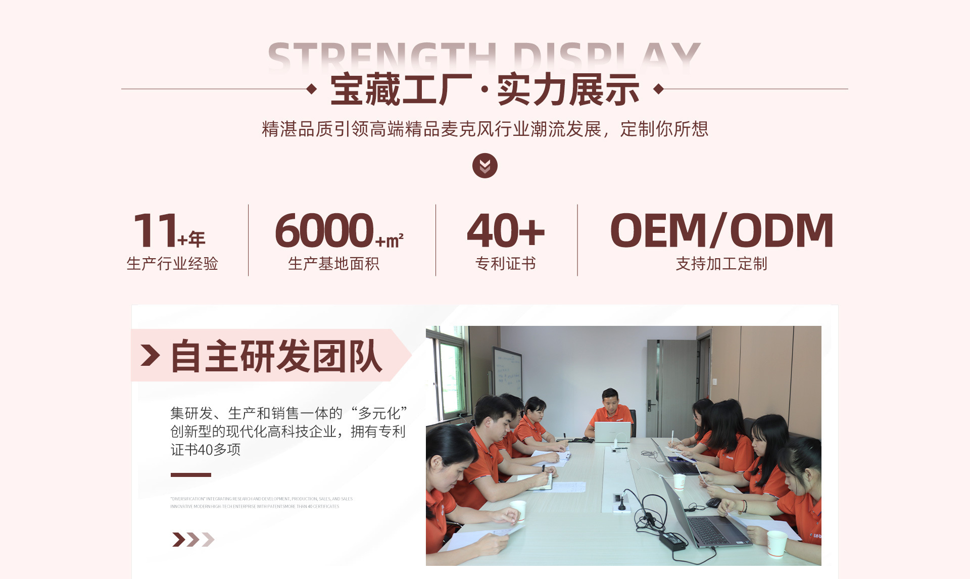 定制P2无线蓝牙音响家庭ktv话筒一体麦克风组合手机K歌神器专用详情7