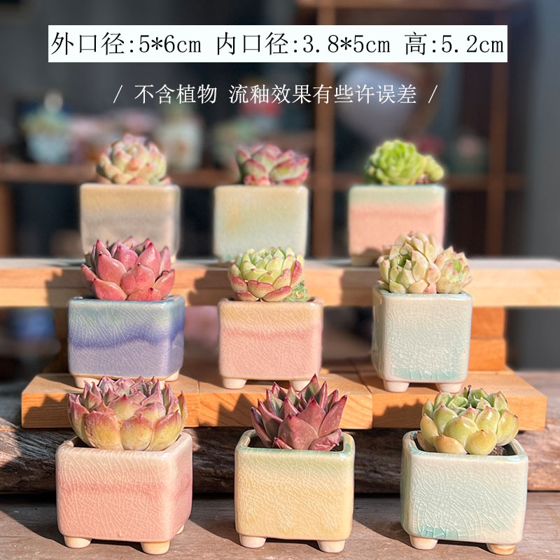 新款拇指盆多肉花盆流釉窑变白土吸水透气控养鼻屎苗精致小花盆详情16