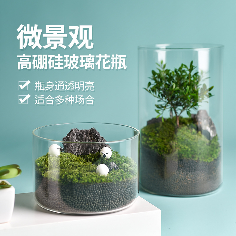 高硼硅玻璃花瓶微景观水培植物直筒玻璃罐观赏鱼客厅插花艺术花瓶