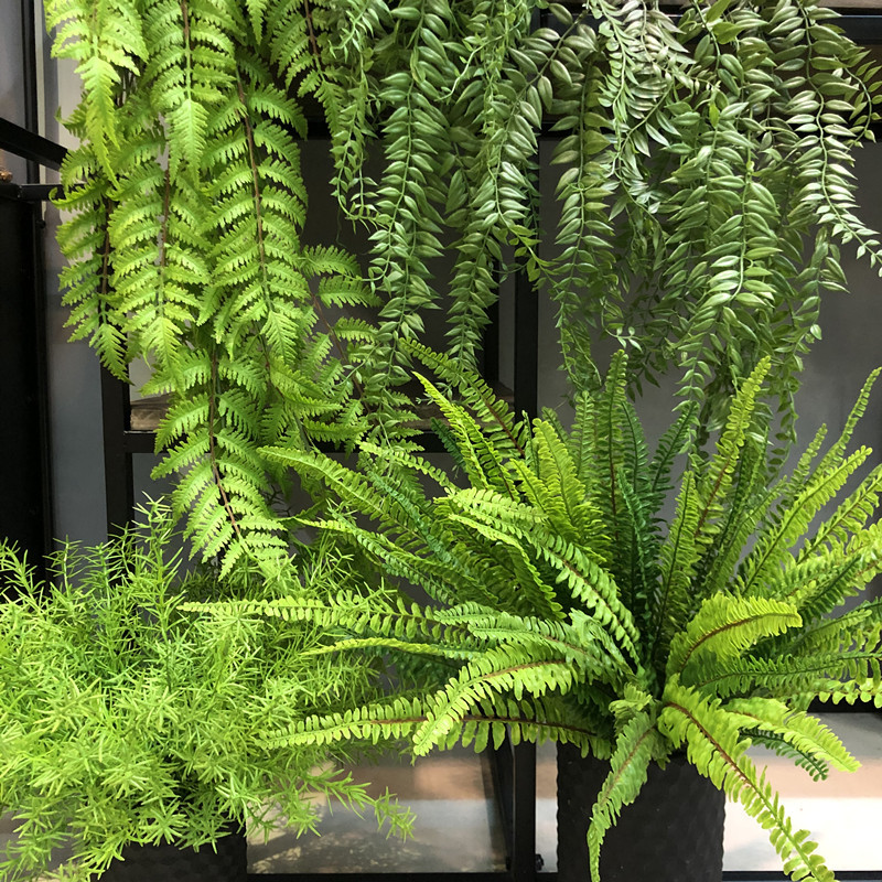 仿真蕨类植物手感软胶假草厥叶绿植室内插花布景仿真植物造景装饰