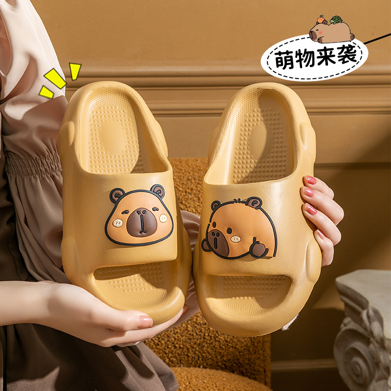 import细节图