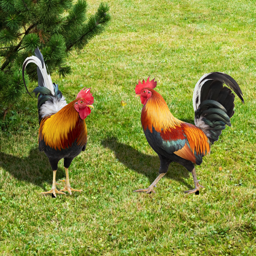 Cross border explosion three-dimensional simulation rooster yard yard art garden outdoor decoration acrylic plug-in Application Scenario