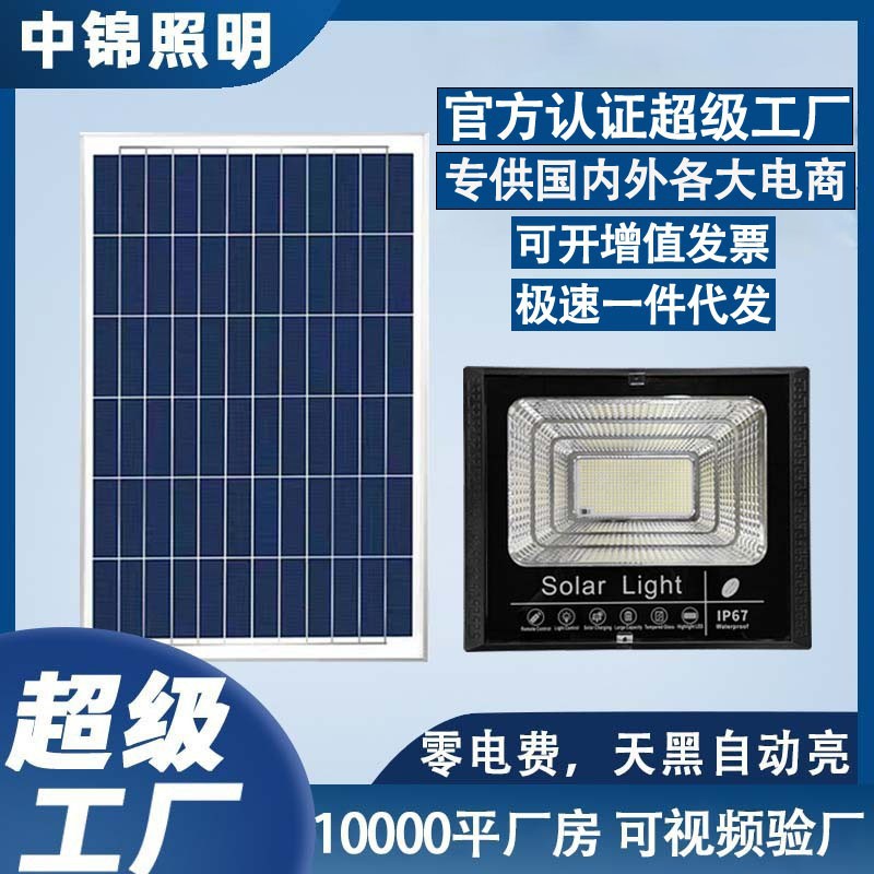 惠民新款太阳能灯户外照明庭院灯太阳能投光灯新农村路灯厂家直销
