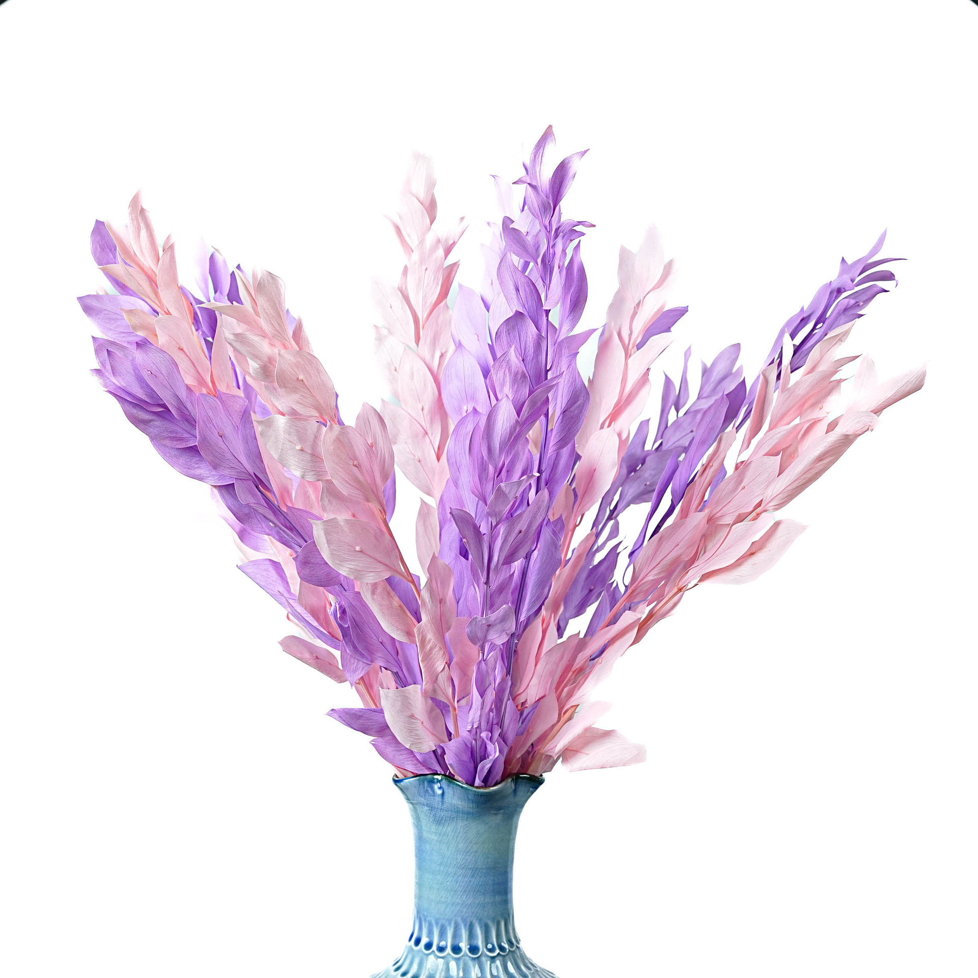 辅料点珠/干花/永生花礼物/编织花/满天星白底实物图