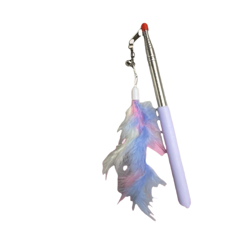 猫抓板/宠物猫猫玩具/宠物玩具/宠物用品/猫玩具白底实物图