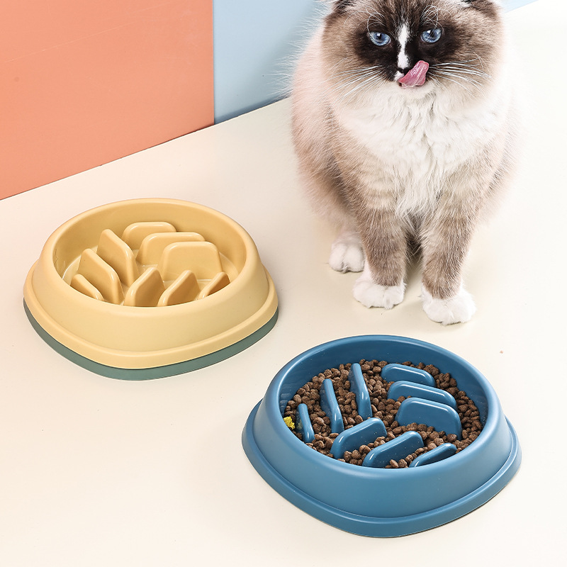 Cross-border dog slow food bowl, anti-choking pet slow food bowl, anti-slip and anti-tipping small and medium-sized dog feeder, cat bowl Application Scenario
