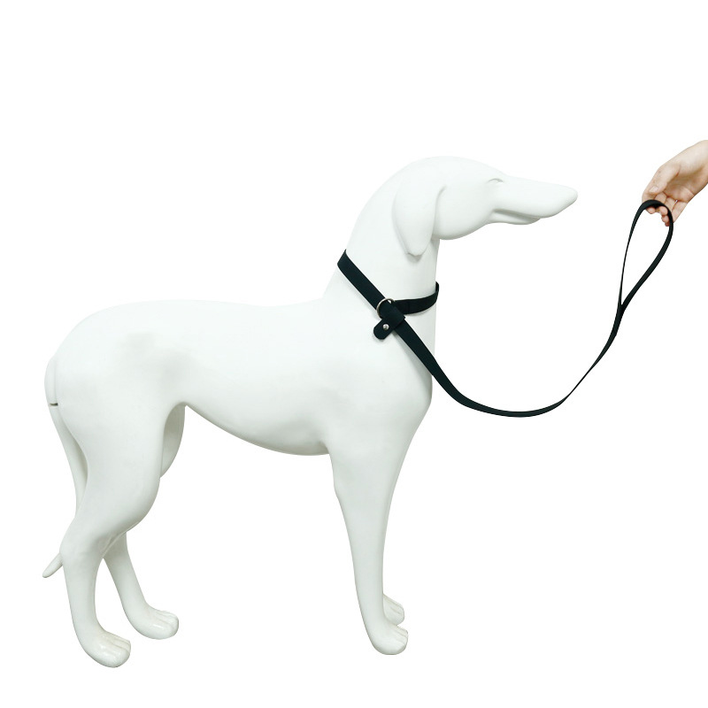 Hot-selling PVC pet supplies, waterproof and stain-resistant P rope and P chain, suffocating dog walking rope, factory direct sales Item Picture