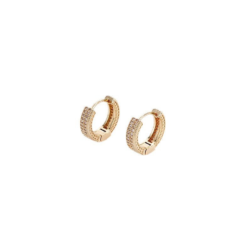 European and American double-row full-diamond fashionable, light luxury, micro-set individual earrings, women's trendy, exquisite and high-end ear accessories Item Picture