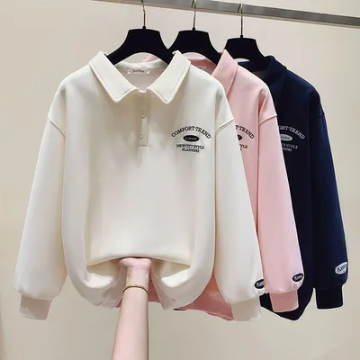Pure Cotton Vintage Day Stand Collar Embroidery Hoodie Female 2023 Autumn And Winter New Thin Style College Style Top Students