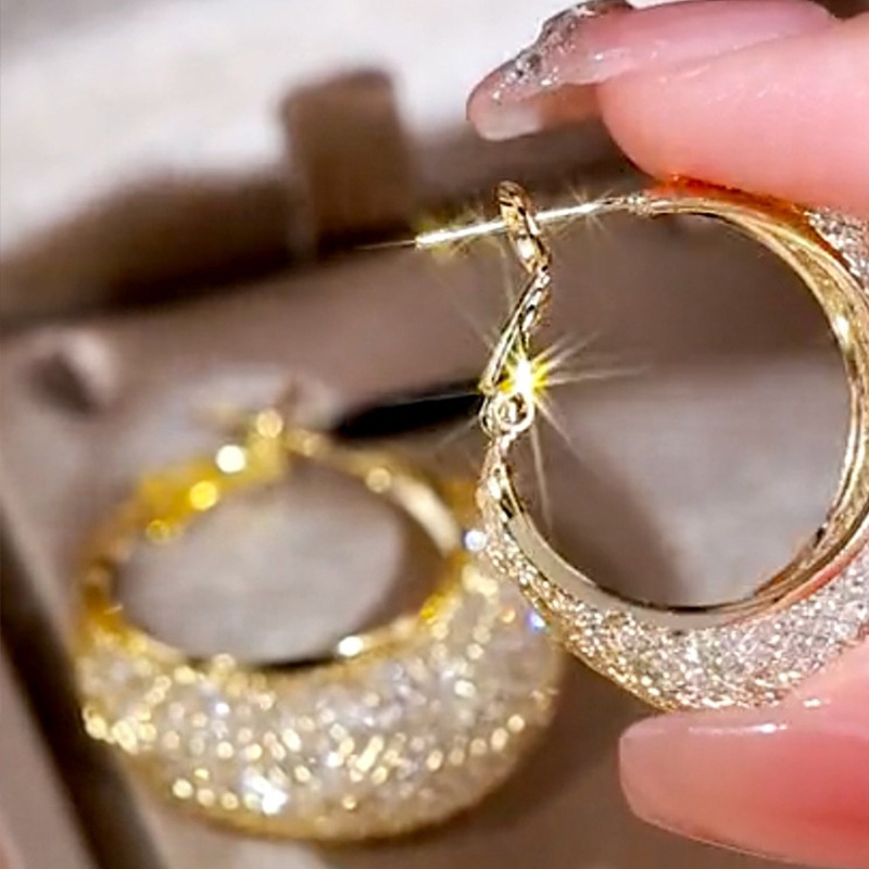 Cross-border European and American round mesh zircon earrings, ins trendy and fashionable personalized circle light luxury style earrings Application Scenario
