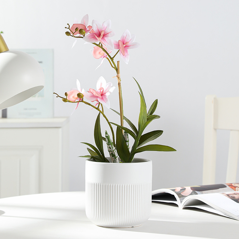 Nordic Ceramic Pot Light Luxury Senior Sense Home Living Room Orchid Green Plant Large Fortune Tree Phalaenopsis Pot Hin Application Scenario