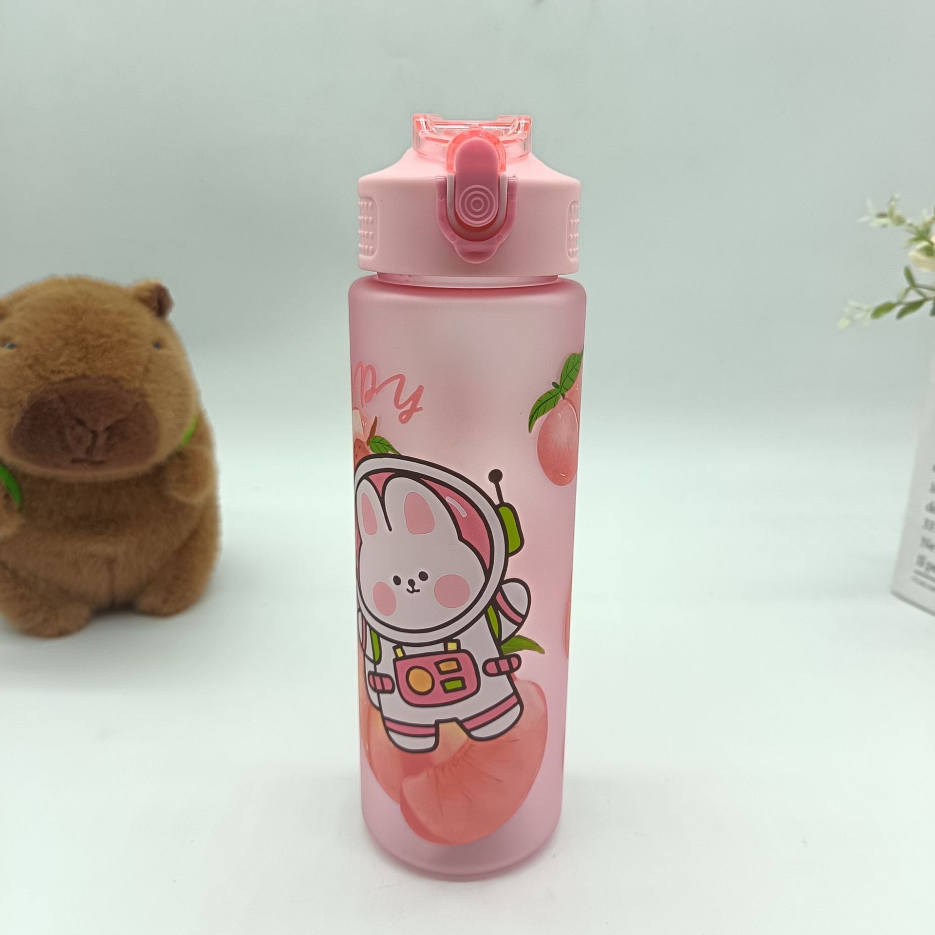 Amazon's new summer frosted, blank, cute animal and fruit pattern series of children's and students' sports water bottles details Picture