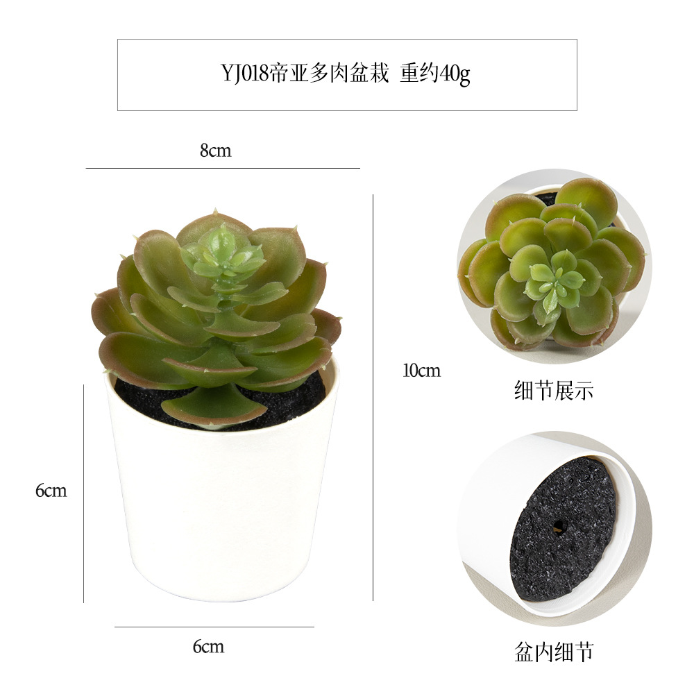 Amazon set of simulation succulent three-piece set with PVC box home decoration simulation plant potted plant gift details Picture