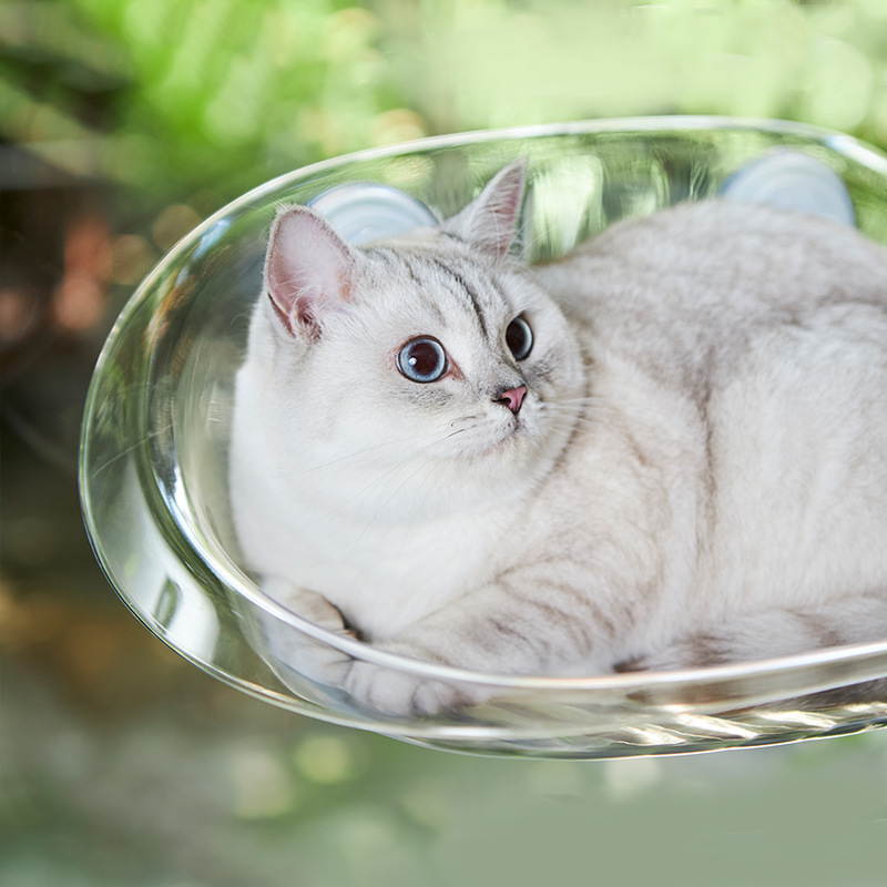 Cross-border pet supplies: Suspended cat bed, hanging suction cup, cat hammock, sunbathing wonder, cat climbing frame, suitable for all seasons Specification image