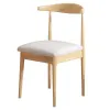 Wholesale special offer on iron horn chair backrests, thickened and simple dining chairs, home dining table chairs, milk tea shop and restaurant stools Application Scenario