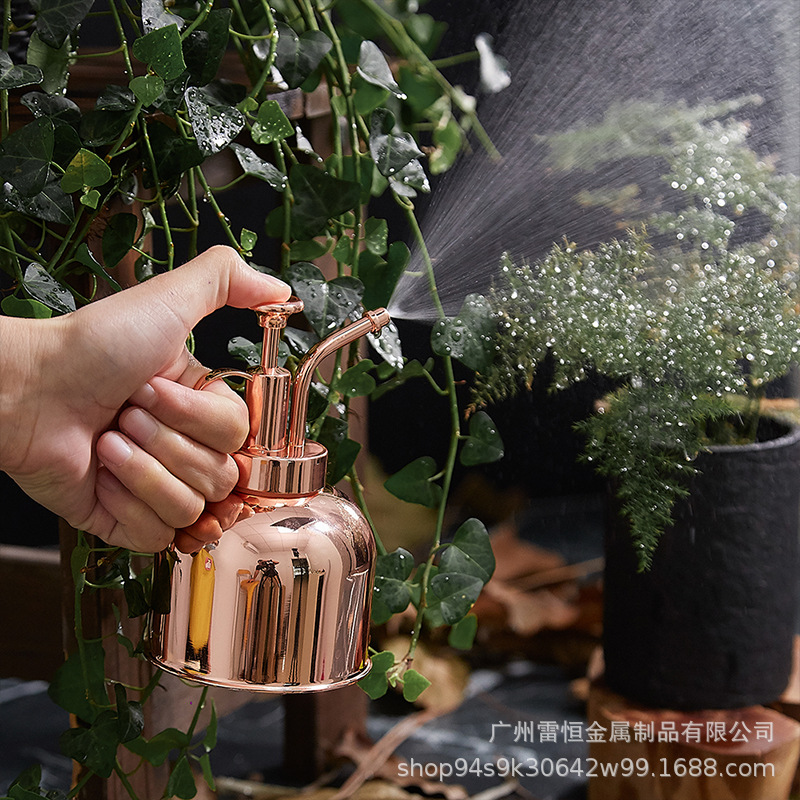 Jardinería acero inoxidable regador de flores jarra spray jarra nórdico retro regador de agua venta al por mayor casa mano prensa spray ducha hervidor Specification image