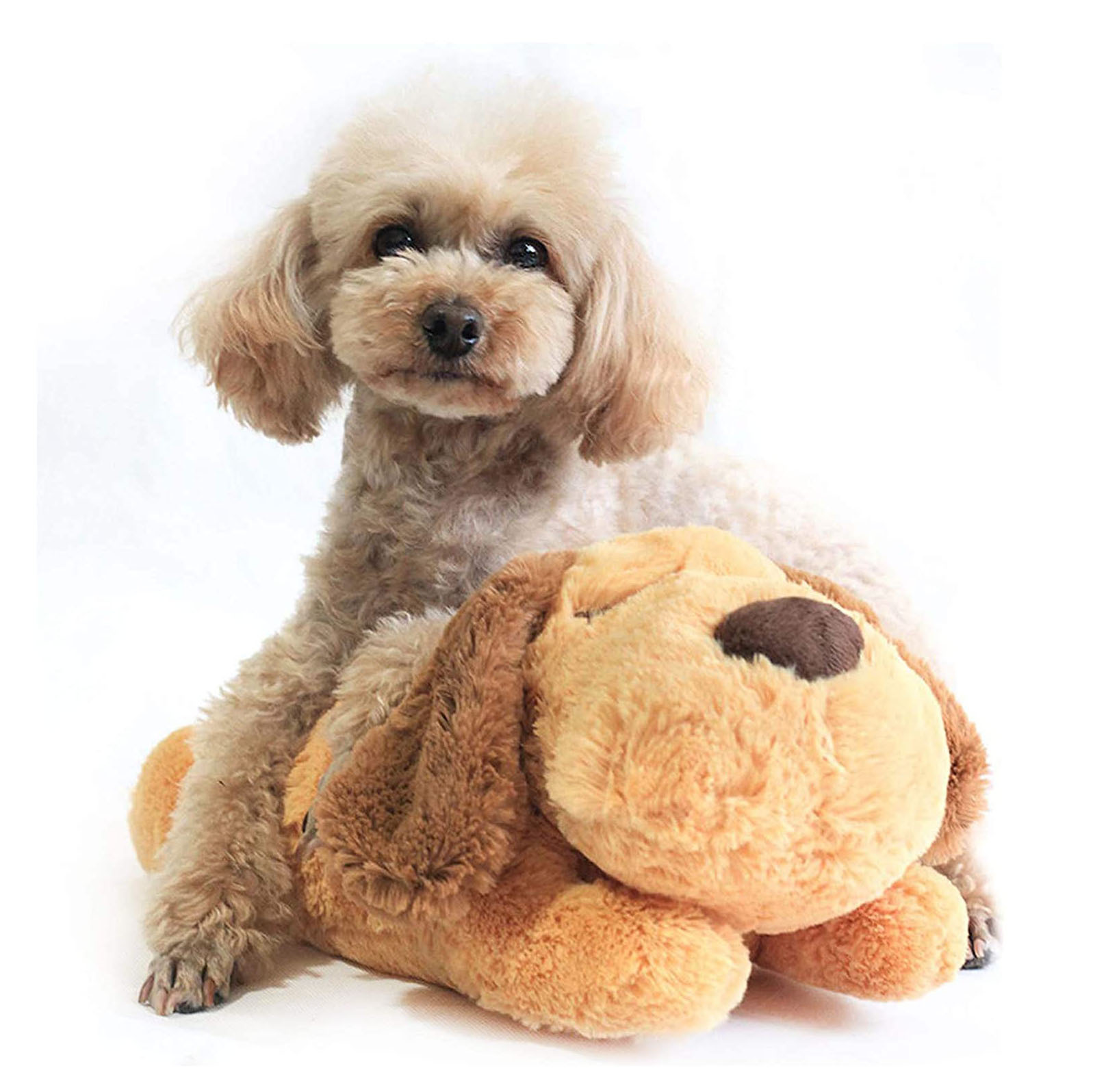 Pet soothing toys, plush dog interactive heartbeat pet toys, anxiety companionship sleep toys, cat and dog toys