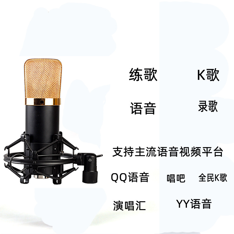 Wholesale of computer microphone BM-700 diaphragm capacitor microphone sound card computer anchor equipment set for foreign trade Specification image