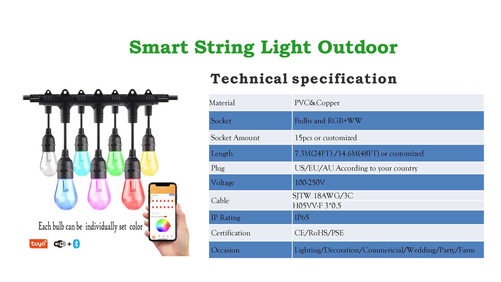 Smart outdoor string light 24-foot -12 bulbs, Wifi +433 waterproof APP control, single light controllable Item Picture