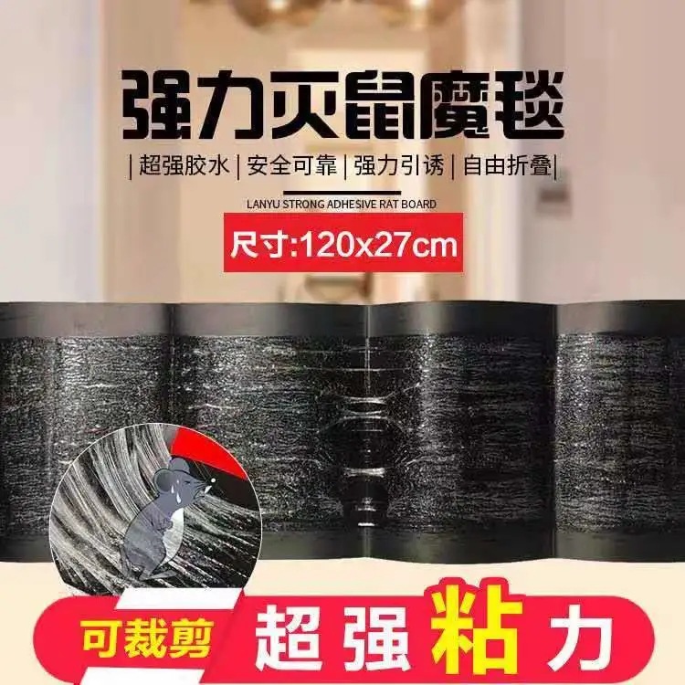 import细节图