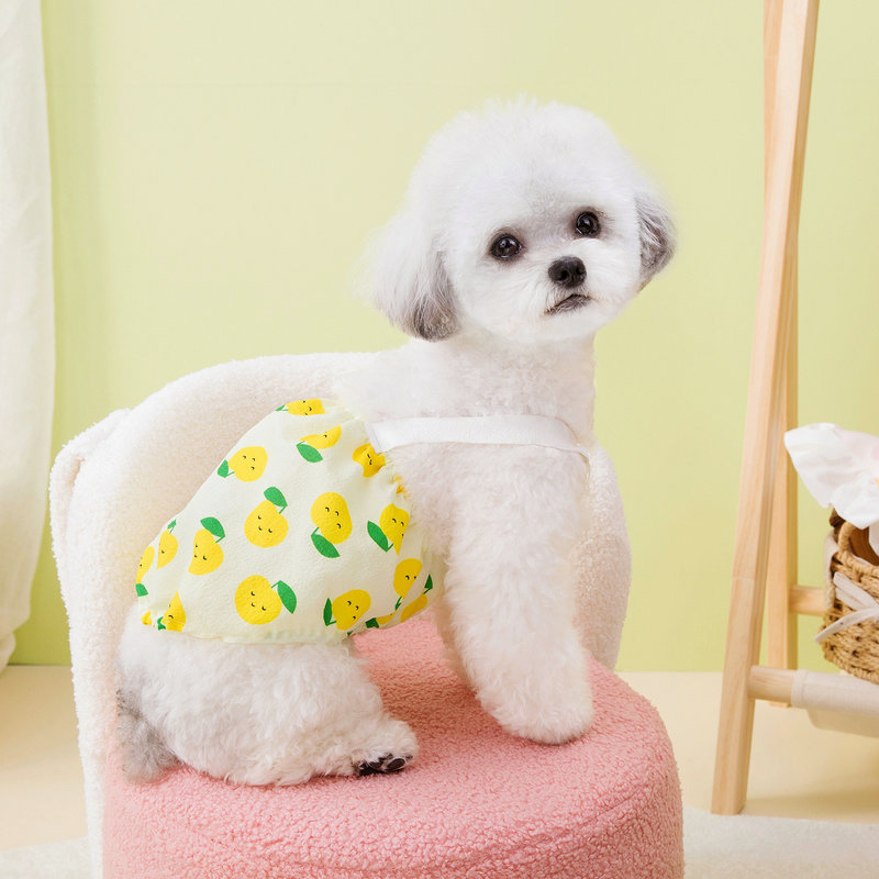 狗衣服细节图