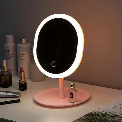 Led Makeup Mirror With Light Fill Light Mirror Desktop Storage Female Internet Celebrity Beauty Makeup Mirror Usb Charging Mirror Wholesale