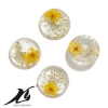 Xiaoyi jewelry Accessories, creative and fashionable built-in dried flower round resin diamond, Japanese and Korean style accessories wholesale details Picture