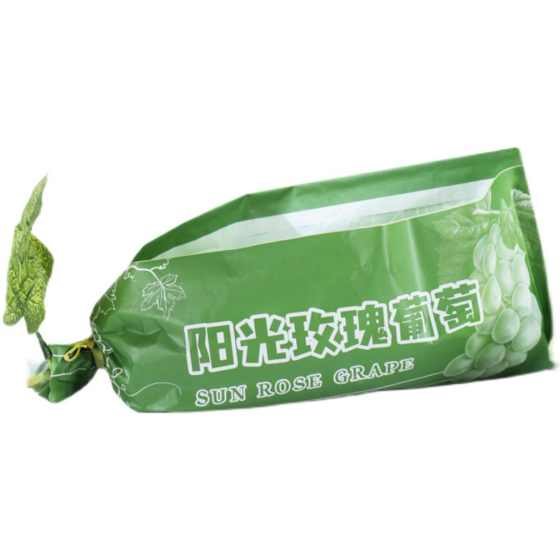 import白底实物图