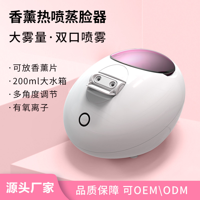 New OEM customized face steaming device, cross-border beauty spray device, aromatherapy anti-dry burning 200ml, skin hydration for girls