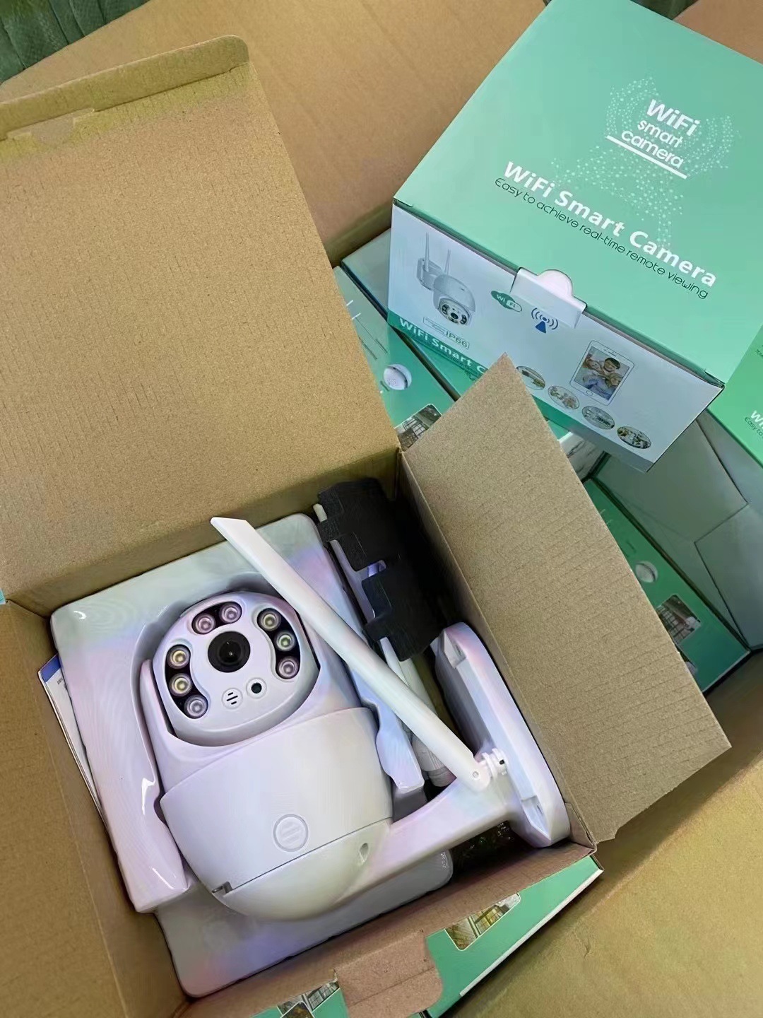 Wireless surveillance camera details Picture