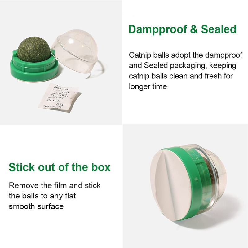 Amazon's Catnip Toy Set Spinning Sticky Cat Toy From Hi Cymbidium Polygonum Cat-Teasing Stick Application Scenario