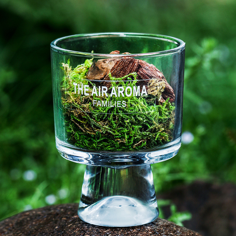 Pine Moss Diffuser Cup, Forest-Themed Flameless Aromatherapy Diffuser Decoration, A Long-Lasting And Refreshing Aromatherapy Souvenir For Home Use details Picture