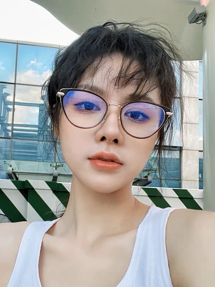 眼镜/太阳镜/近视眼镜/眼镜框/近视镜产品图