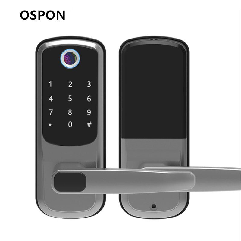 Cross-border bedroom fingerprint lock, universal lock, IC card lock, graffiti WiFi, apartment rental, password lock, mobile phone remote control Application Scenario