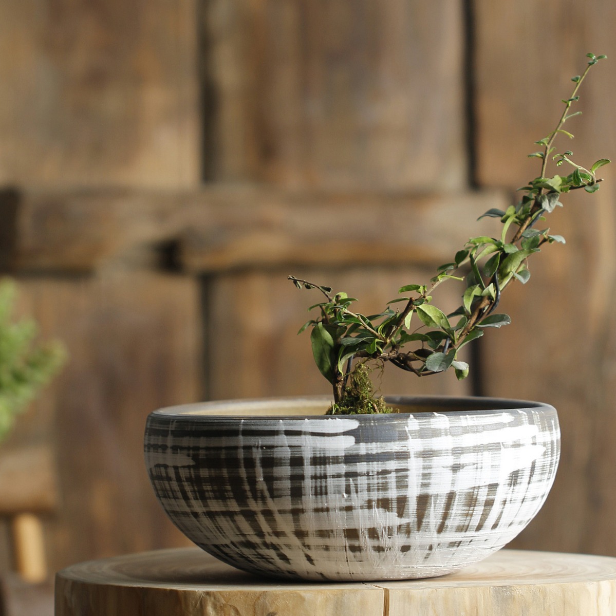 Jingdezhen Rough Pottery Platter Succulent Pot Green Plant Flowers Ceramic Ground Potted Desktop Retro Large Classical Beauty Application Scenario