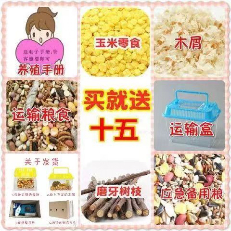 其他分类实物图