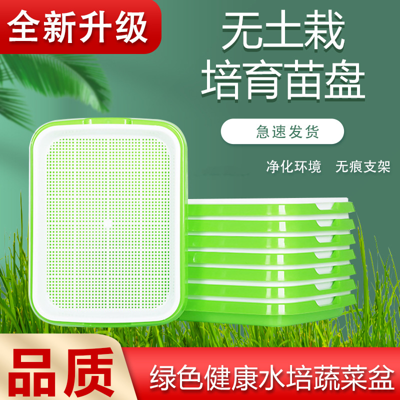 芽苗菜种植盘 家用无土栽培育苗盆保温盖育苗芽苗菜育苗盘批发