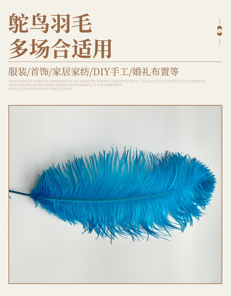 厂家直销15-80cm鸵鸟毛舞台布置真羽毛发夹装饰插花婚庆布置羽毛详情9