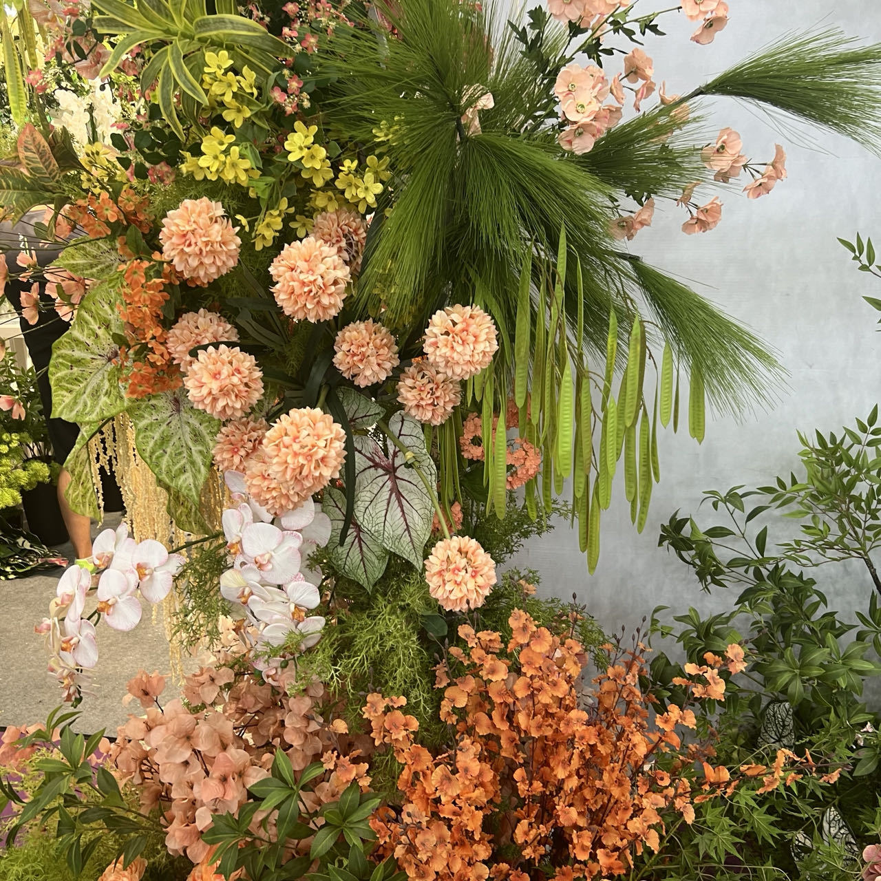 import细节图