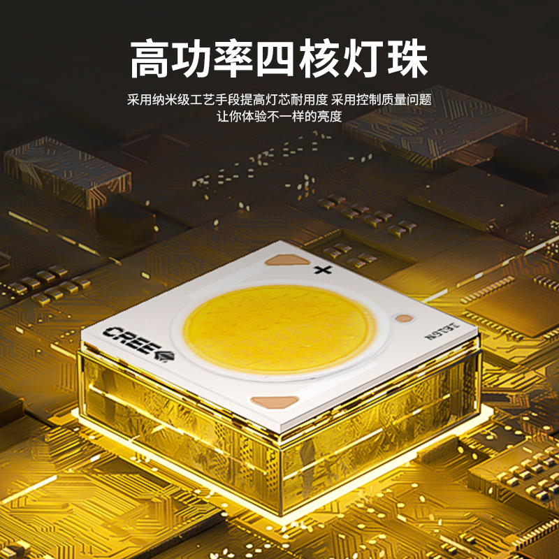 手电筒、手握式电筒实物图