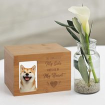 Bamboo pet urn Wooden with picture frame pet cat and dog memorial urn Animal funerary supplies casket