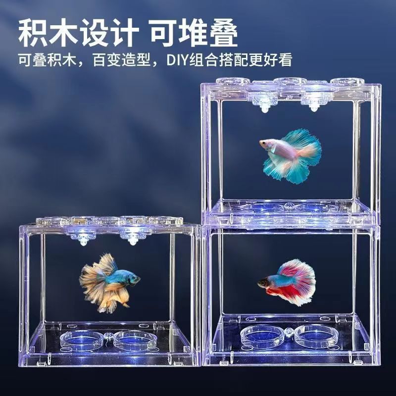 鱼缸实物图