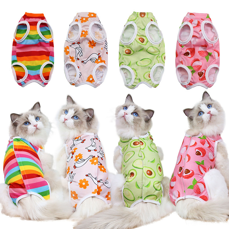 Dog Small Medium-Sized Dog Cat Spayed And Neutered Clothing After Surgery Fruit Series Four Seasons Pet Clothing Accessories details Picture