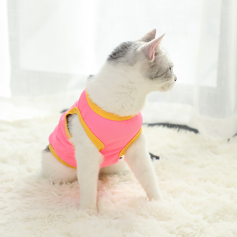 Summer thin cartoon dog vest for pets, breathable, cute and comfortable. Cat clothes, pet vest clothing Specification image