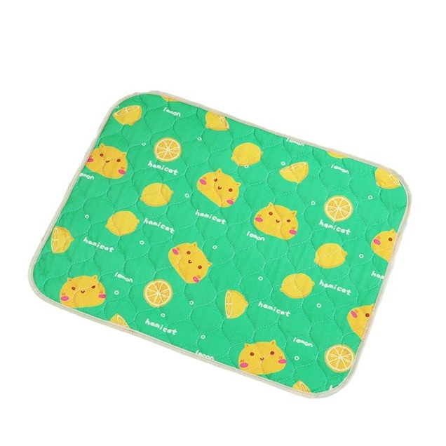 import白底实物图