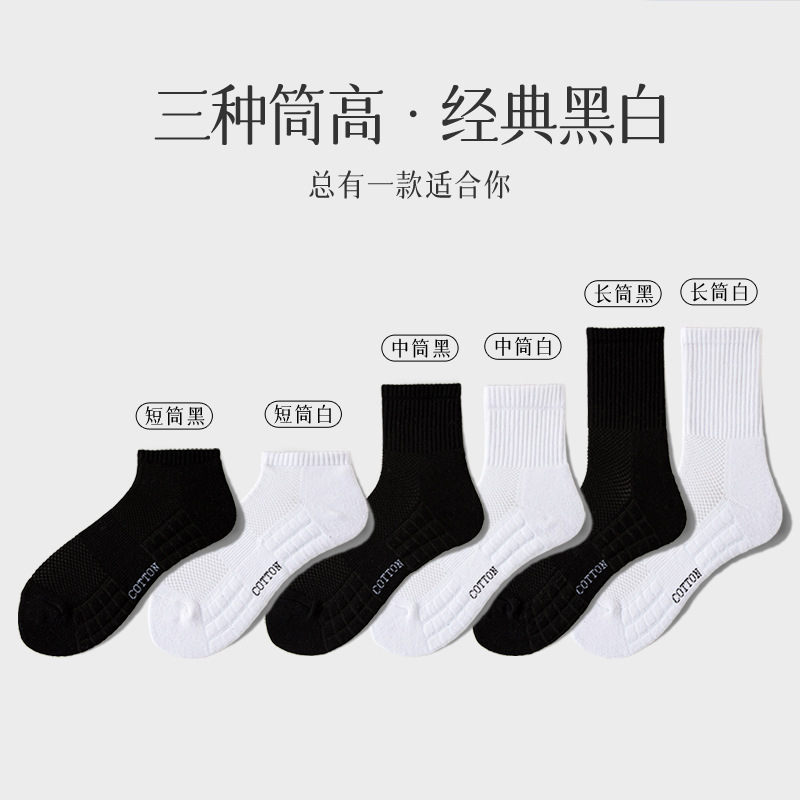 袜子/春夏袜子/秋冬袜子/运动袜/男袜产品图