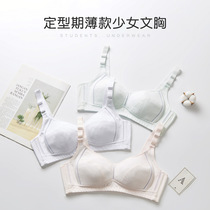 Junior high school students cotton non-underwire bra women's adjustable push-up breast bra