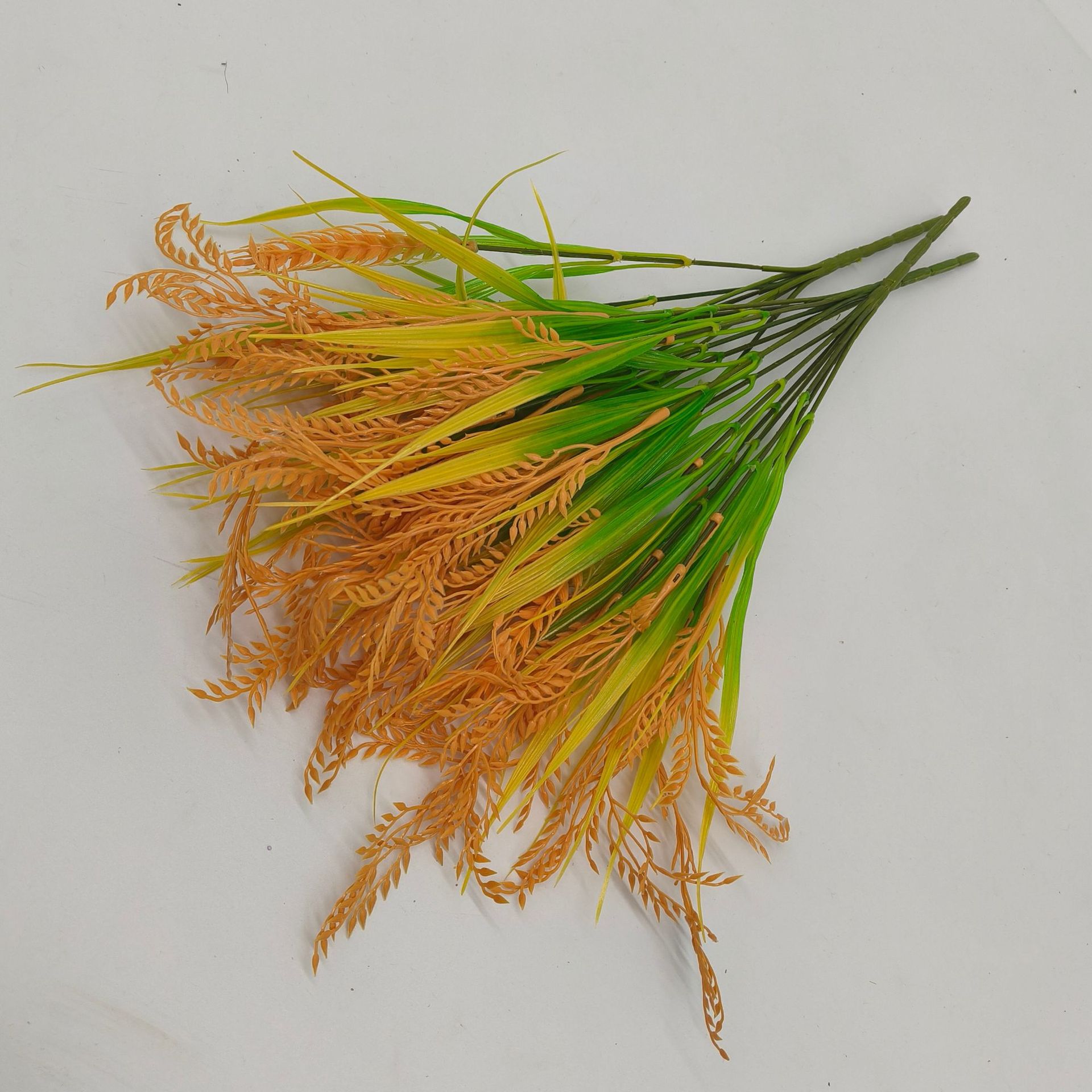 仿真植物实物图