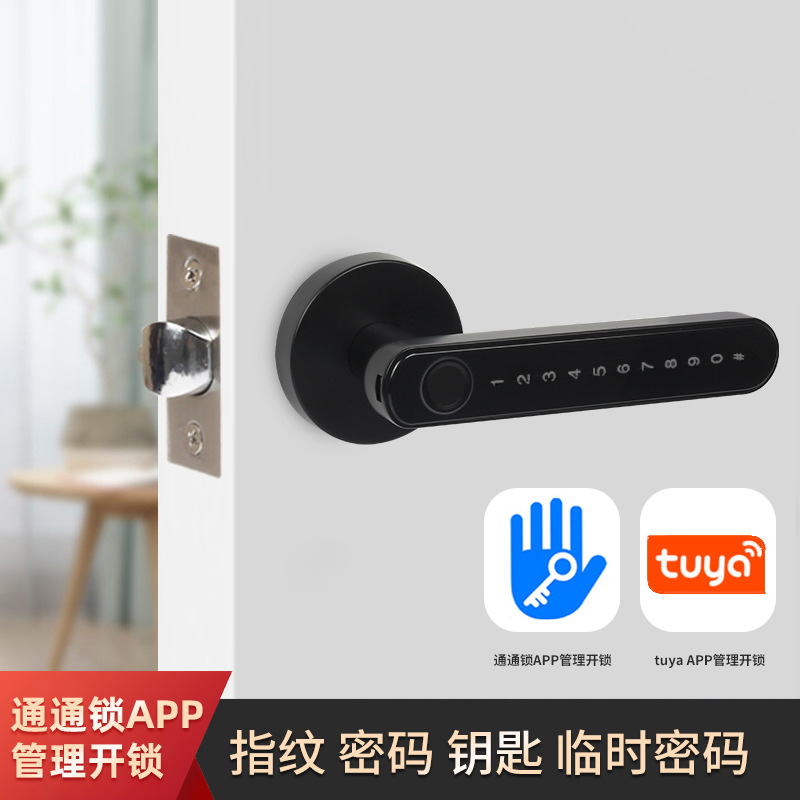 Smart Fingerprint Lock Manufacturers Support Graffiti All Smart Lock Apartment Home Anti-Theft Password Door Fingerprint Lock
